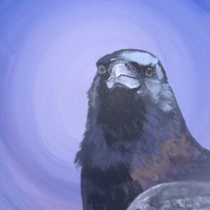The Crow's Gaze