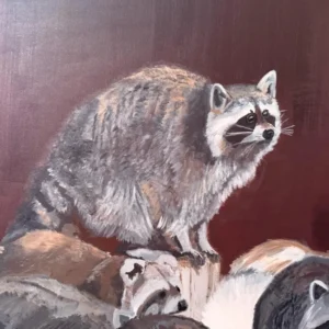 Raccoon King